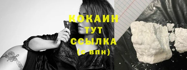 меф Тайга