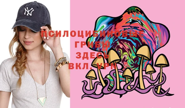 MDMA Тавда