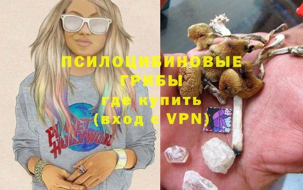 меф Тайга