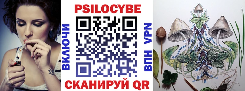 наркота  Воронеж  Галлюциногенные грибы Cubensis 