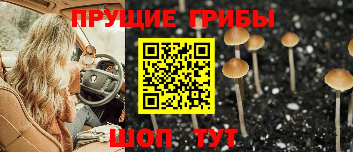 Галлюциногенные грибы MAGIC MUSHROOMS  Галлюциногенные грибы GOLDEN TEACHER  Воронеж 