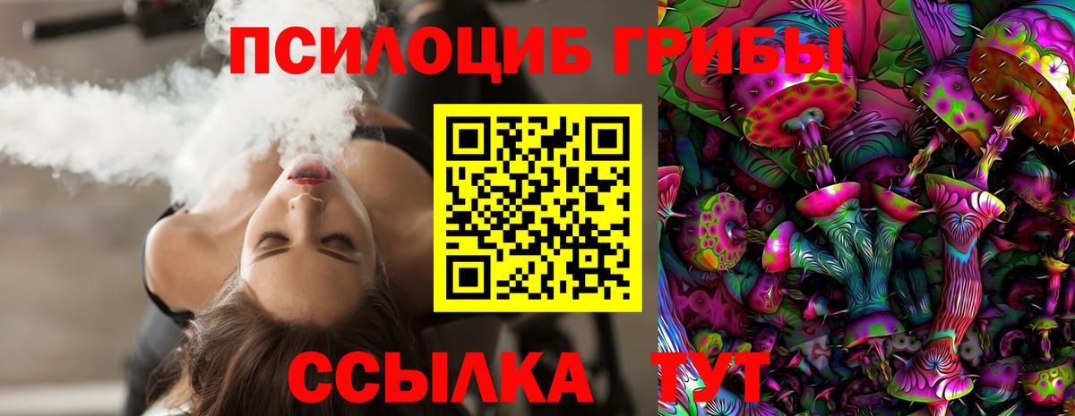 Псилоцибиновые грибы GOLDEN TEACHER Воронеж