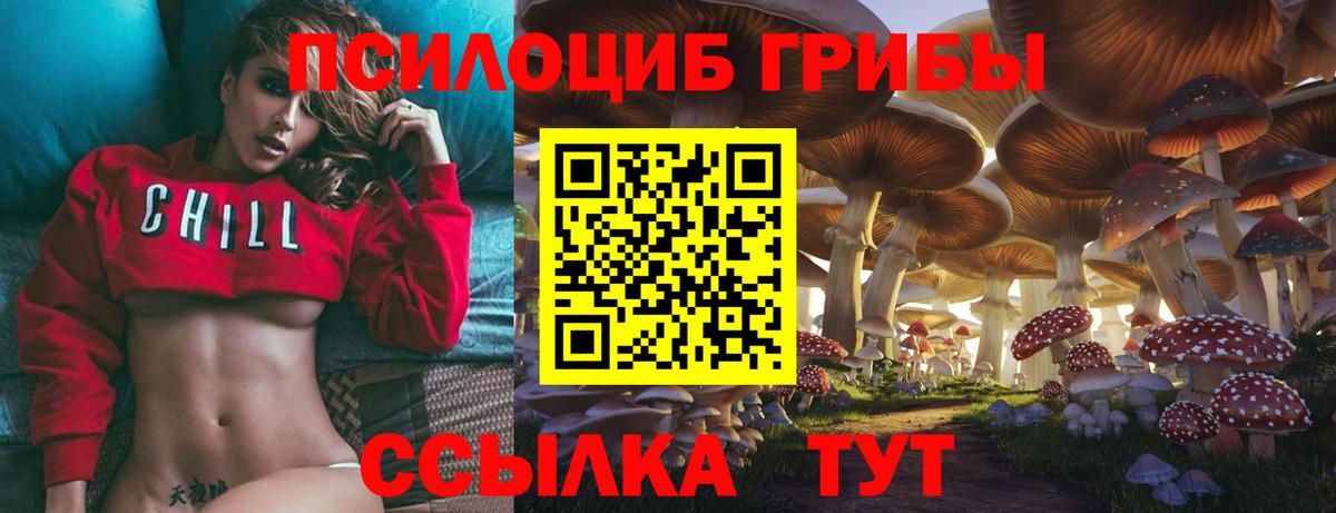 Галлюциногенные грибы мицелий Воронеж