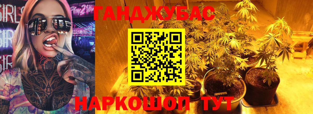 Бошки марихуана ГИДРОПОН  Воронеж  Конопля AK-47  Конопля THC 21% 