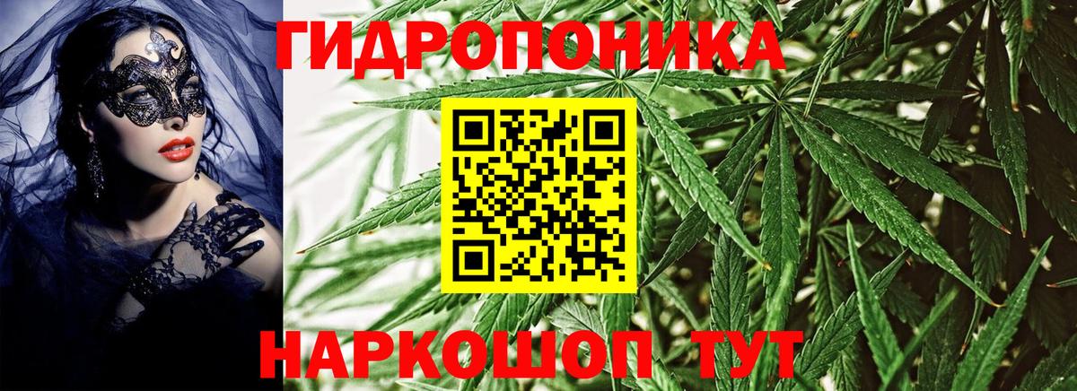 Каннабис LSD WEED  Вход с VPN  Воронеж  Канабис ГИДРОПОН 